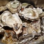 Oyster party