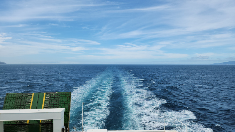 海